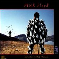 Pink Floyd, Delicate Sound of Thunder