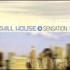 Chill House Sensation: New York