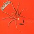 The Spiders from Mars, Spiders From Mars