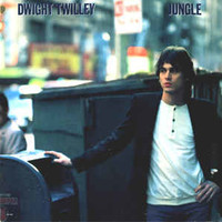 Dwight Twilley, Jungle