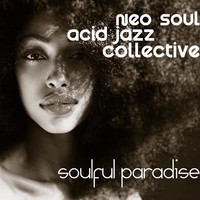 Neo Soul Acid Jazz Collective, Soulful Paradise