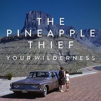 The Pineapple Thief, Your Wilderness