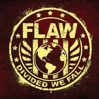 Flaw, Divided We Fall