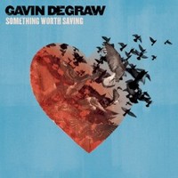 Gavin DeGraw, Something Worth Saving