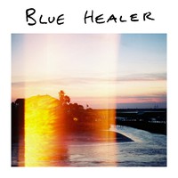 Blue Healer, Blue Healer