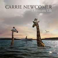 Carrie Newcomer, A Permeable Life