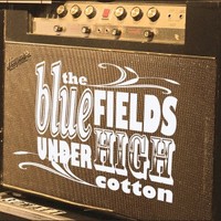 The Bluefields, Under High Cotton