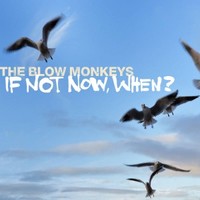 The Blow Monkeys, If Not Now, When?