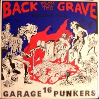 Various Artists, Back From The Grave, Volume Two