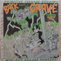 Various Artists, Back From The Grave, Volume Three