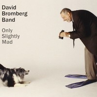 David Bromberg Band, Only Slightly Mad