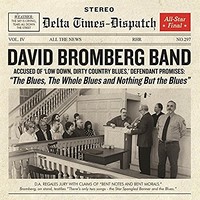 David Bromberg Band, The Blues, The Whole Blues and Nothing But the Blues