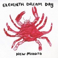 Eleventh Dream Day, New Moodio