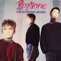 Boytronic, The Working Model