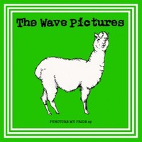 The Wave Pictures, Puncture My Pride