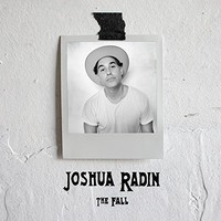 Joshua Radin, The Fall