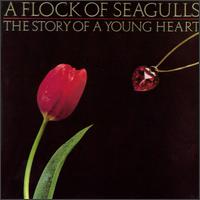 A Flock of Seagulls, The Story of a Young Heart