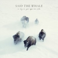 Said the Whale, As Long As Your Eyes Are Wide