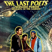 The Last Poets, Delights Of The Garden