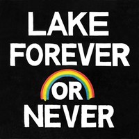 Lake, Forever Or Never