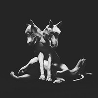 PJ Harvey, Guilty