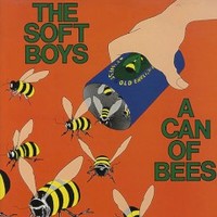 The Soft Boys, A Can of Bees