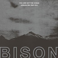 Bison B.C., You Are Not The Ocean You Are The Patient