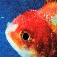 Vince Staples, Big Fish Theory