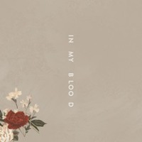 Shawn Mendes, In My Blood