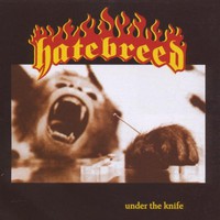 Hatebreed, Under the Knife