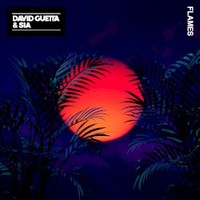 David Guetta & Sia, Flames