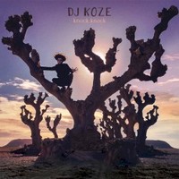 DJ Koze, Knock Knock