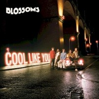 Blossoms, Cool Like You