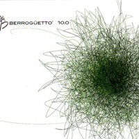 Berroguetto, 10.0