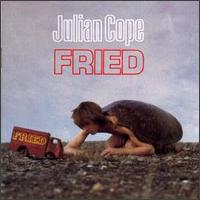Julian Cope, Fried