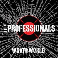 The Professionals, What In The World