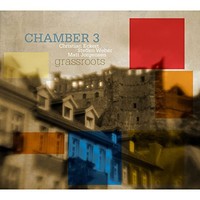 Chamber 3, Grassroots