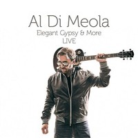 Al Di Meola, Elegant Gypsy & More (Live)