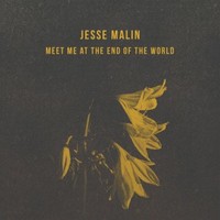 Jesse Malin, Meet Me at the End of the World