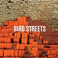 Bird Streets, Bird Streets