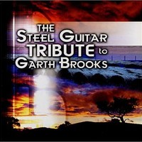 CMH Steel, The Steel Guitar Tribute To Garth Brooks