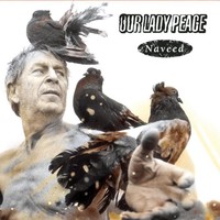 Our Lady Peace, Naveed