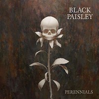 Black Paisley, Perennials