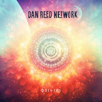 Dan Reed Network, Origins