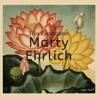 Marty Ehrlich, Trio Exaltation