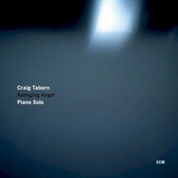 Craig Taborn, Avenging Angel