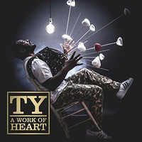 Ty, A Work Of Heart
