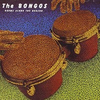 The Bongos, Drums Along the Hudson