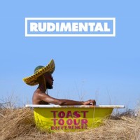 Rudimental, Toast To Our Differences