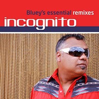 Incognito, Bluey's Essential Remixes